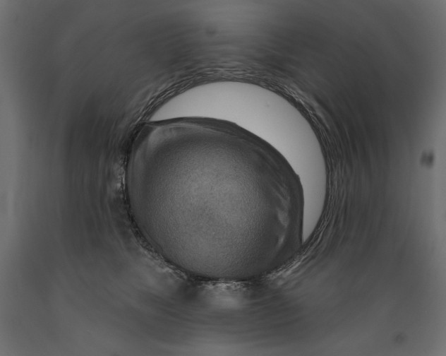 X0000088870517200707061350