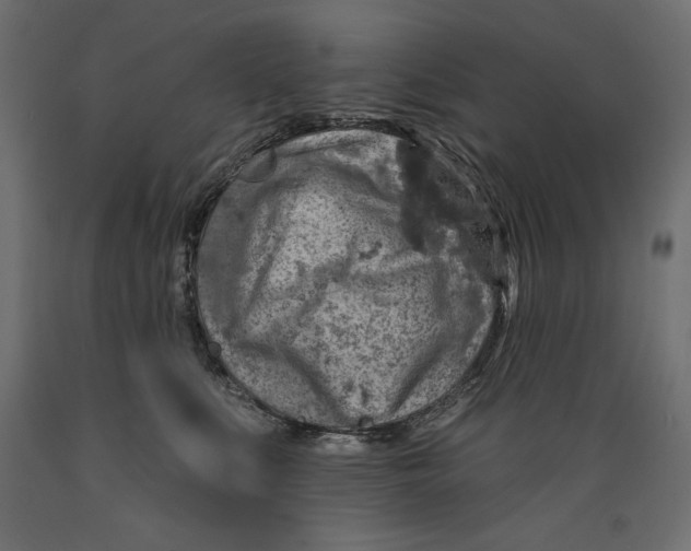 X0000088870519200707061350