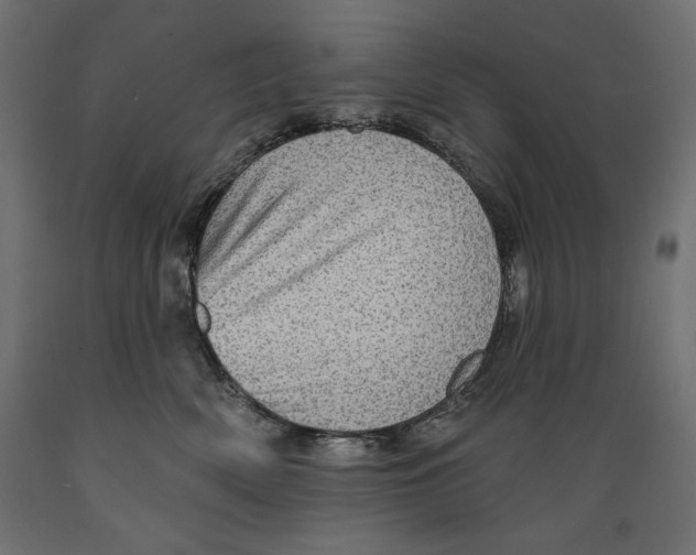 X0000088870522200707061350