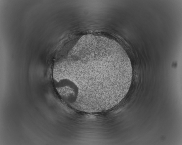 X0000088870523200707061350