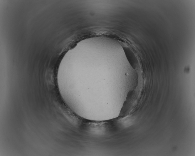 X0000088870524200707061350