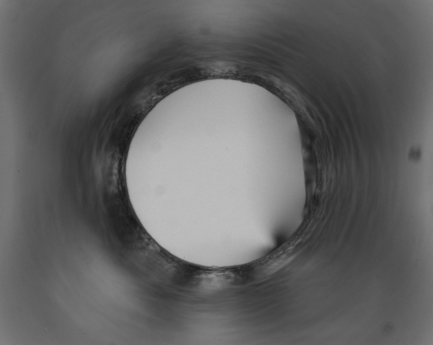 X0000088870525200707061350