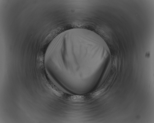 X0000088870526200707061350