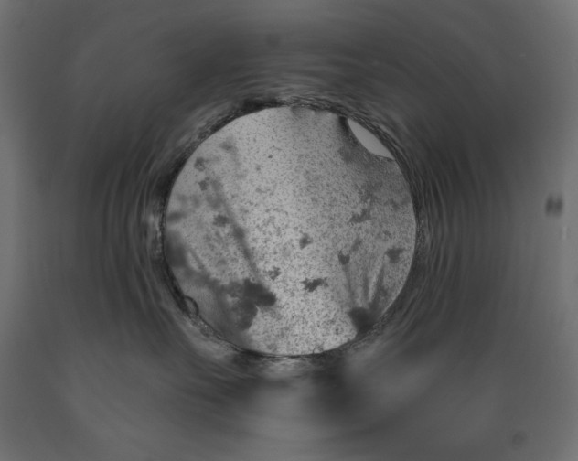 X0000088870527200707061350