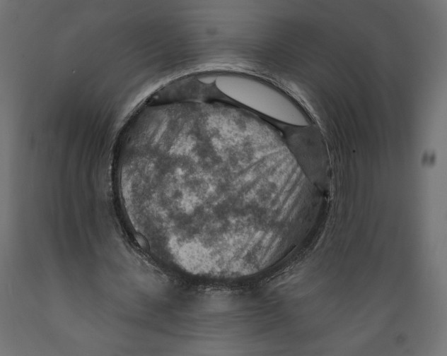 X0000088870531200707061349