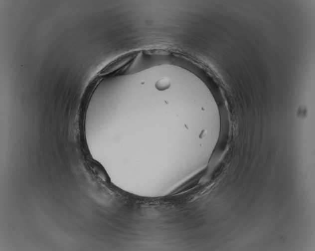 X0000088870532200707061349