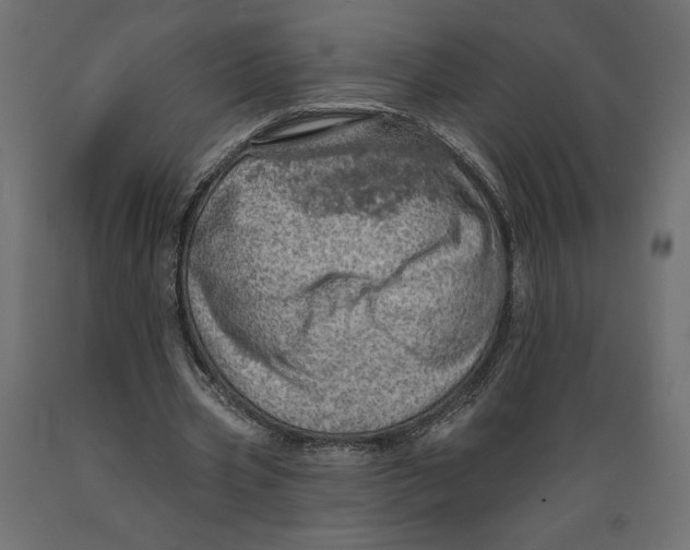 X0000088870533200707061349