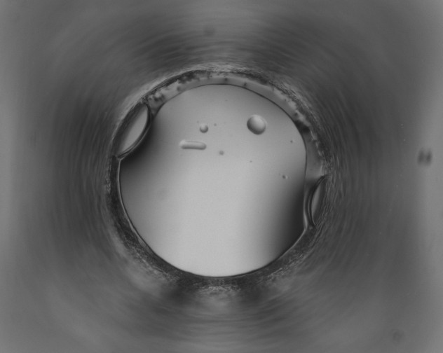 X0000088870536200707061349