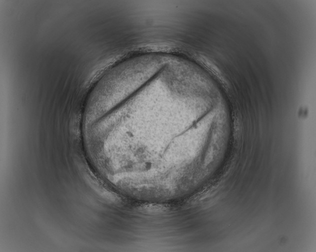 X0000088870537200707061349
