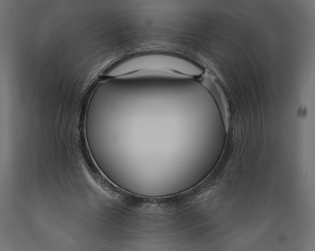 X0000088870538200707061349