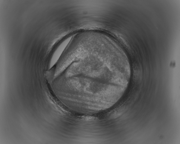 X0000088870539200707061349