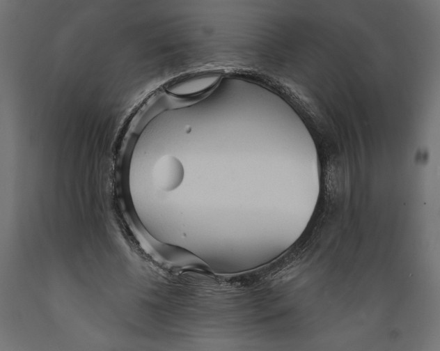 X0000088870540200707061349