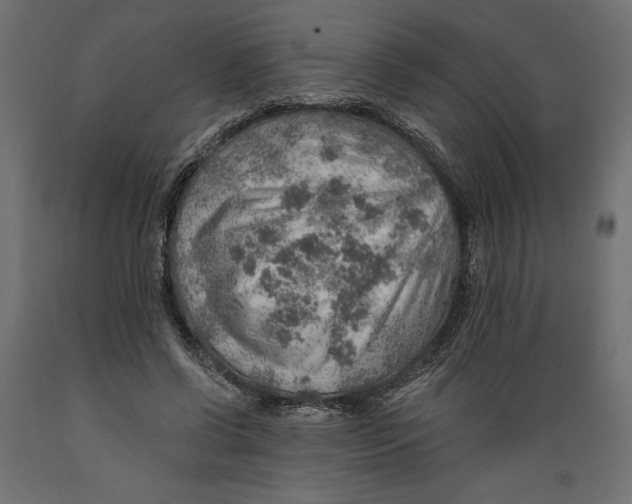 X0000088870542200707061349
