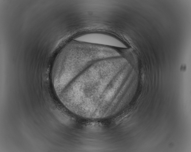 X0000088870543200707061349
