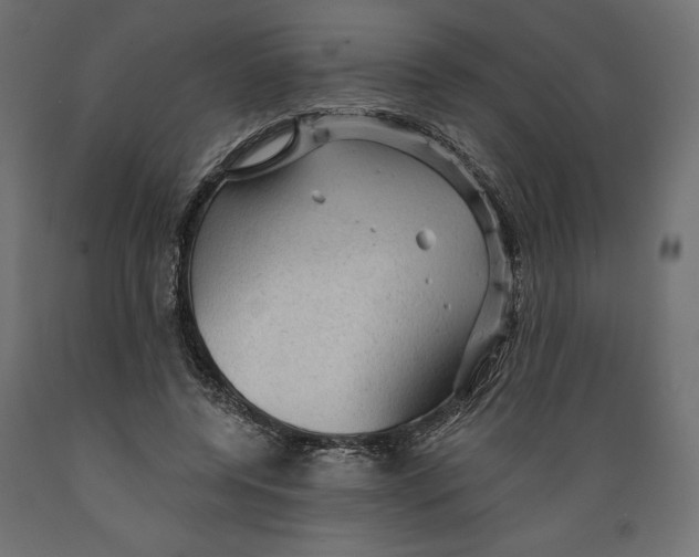 X0000088870544200707061350