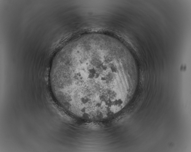 X0000088870545200707061350