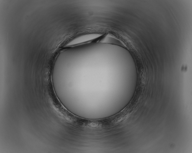 X0000088870546200707061350