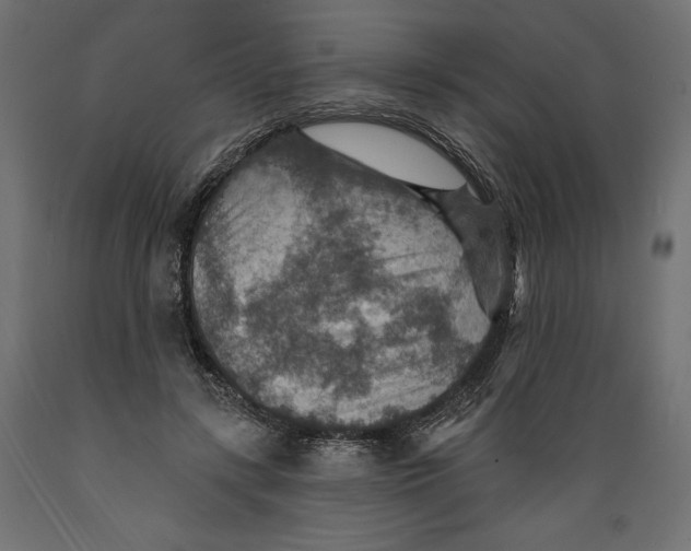 X0000088870547200707061350
