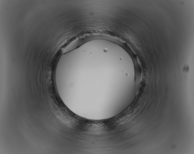 X0000088870548200707061350