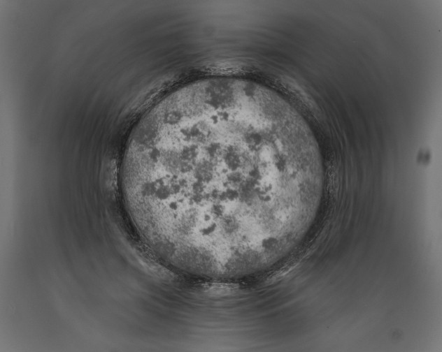 X0000088870549200707061350