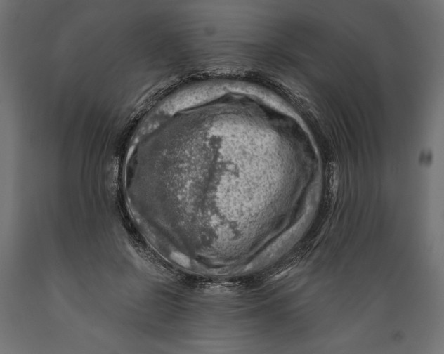 X0000088870550200707061350