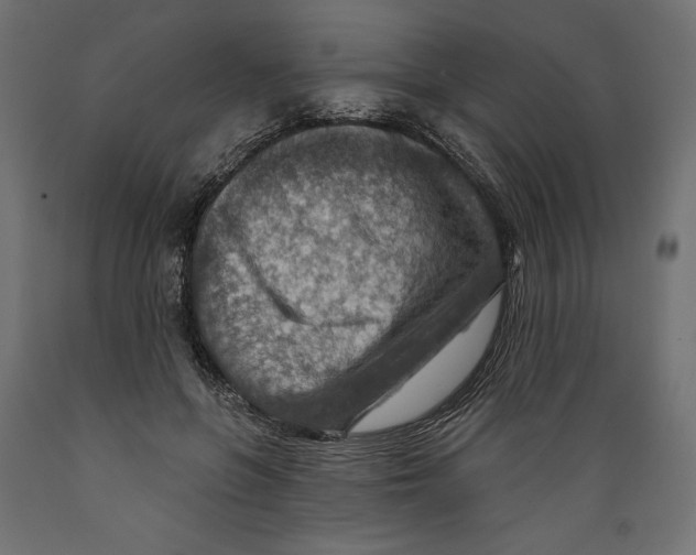 X0000088870551200707061350