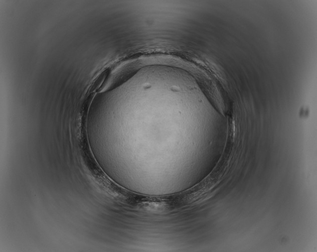 X0000088870552200707061350