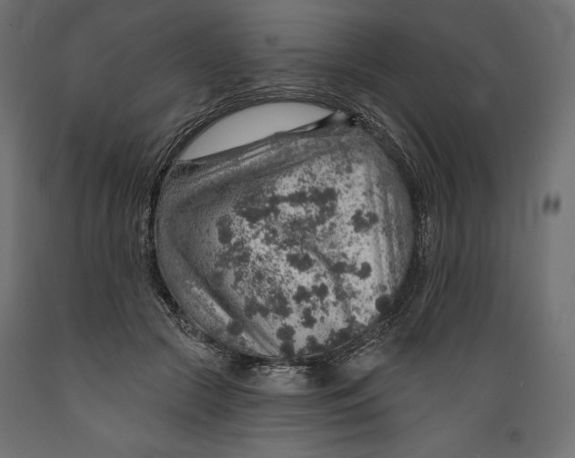 X0000088870553200707061350