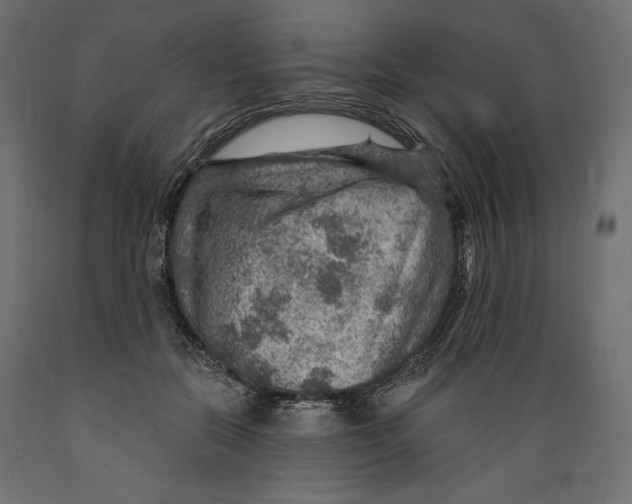 X0000088870554200707061350