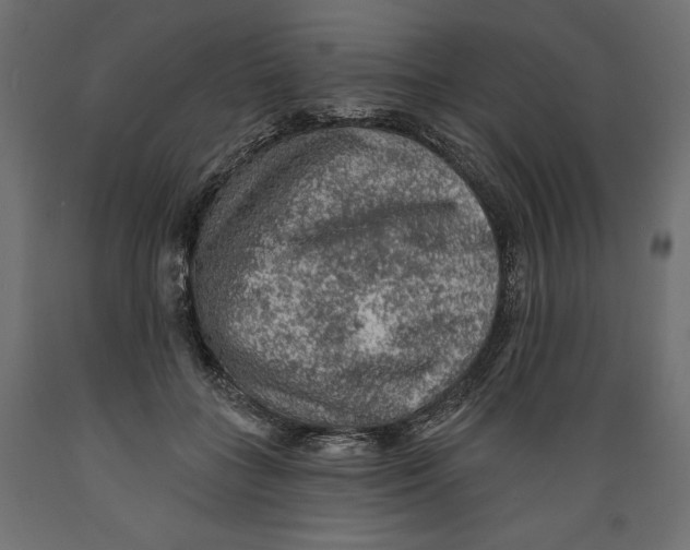 X0000088870555200707061350