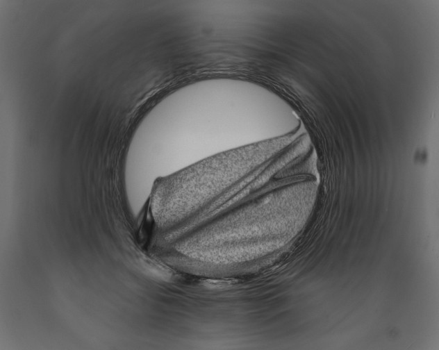 X0000088870556200707061350