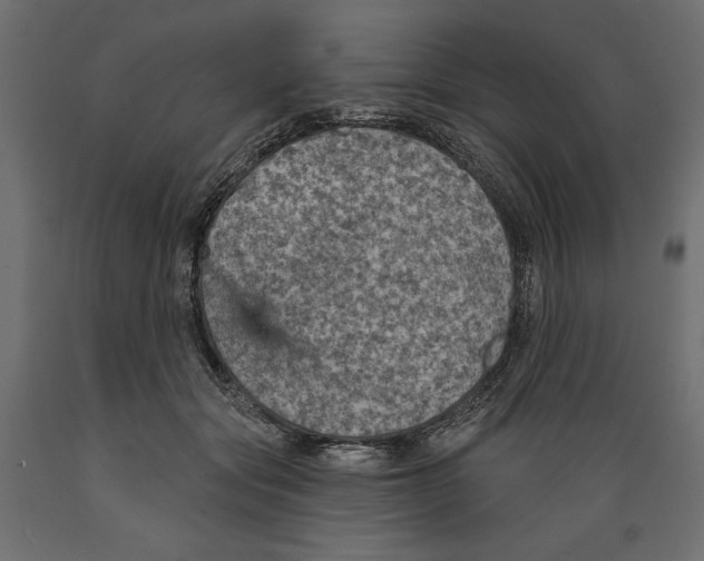 X0000088870557200707061350