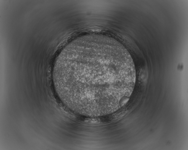 X0000088870559200707061350