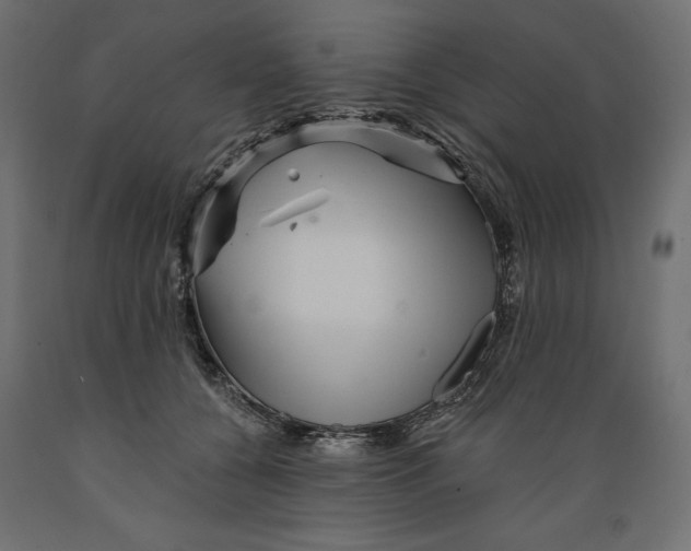 X0000088870560200707061350