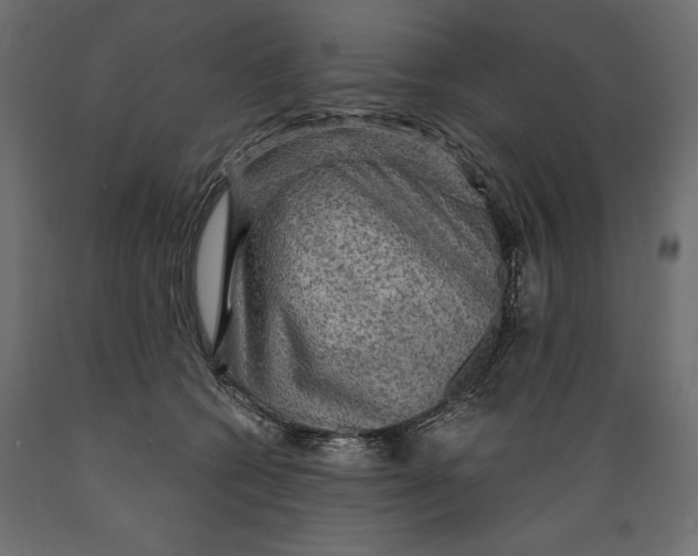 X0000088870562200707061350