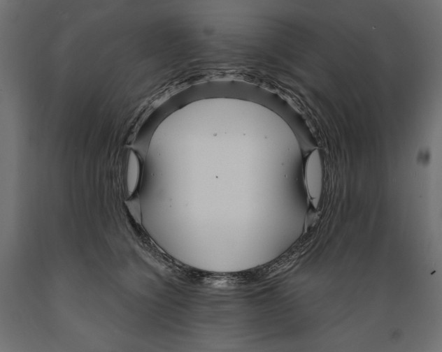 X0000088870564200707061350