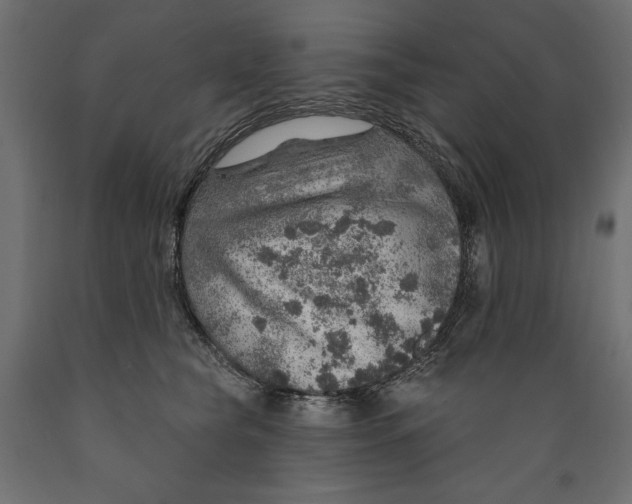X0000088870565200707061350