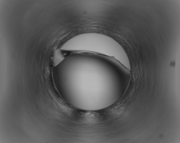 X0000088870566200707061350