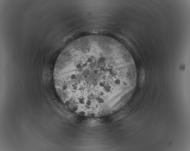 X0000088870569200707061350