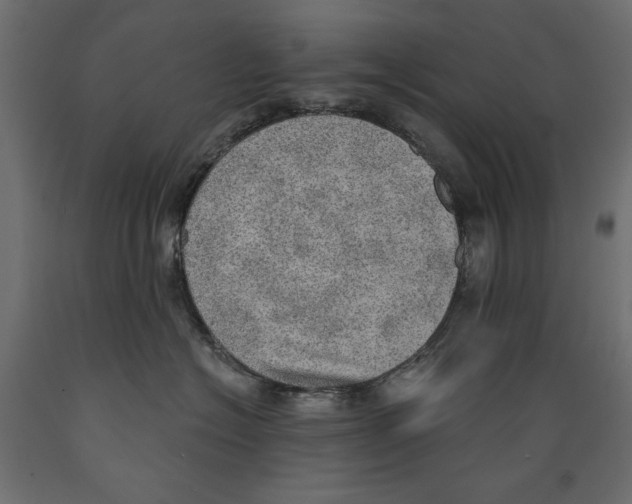 X0000088870574200707061350