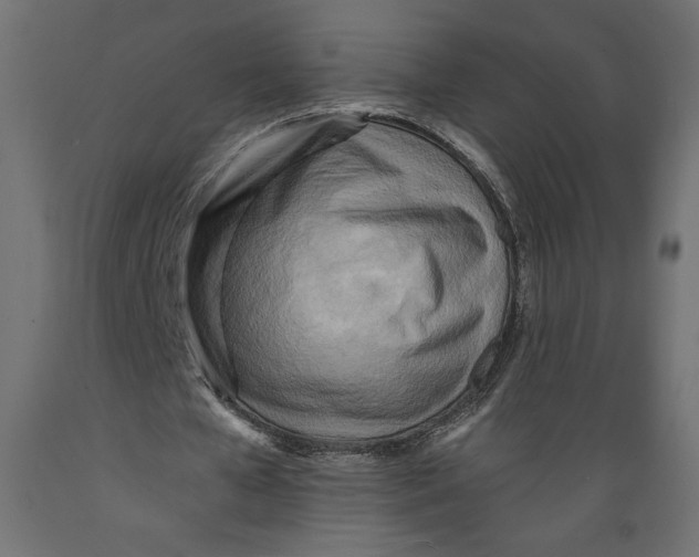 X0000088870577200707061349