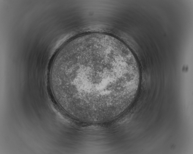 X0000088870578200707061349