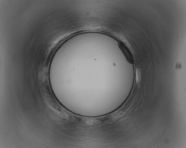 X0000088870579200707061349