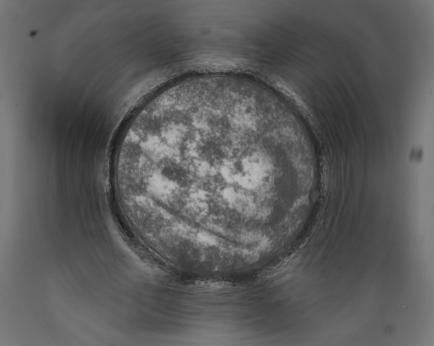 X0000088870582200707061349