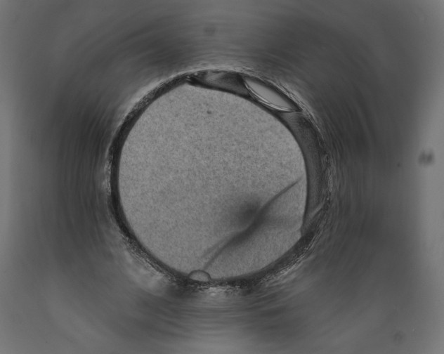 X0000088870584200707061349