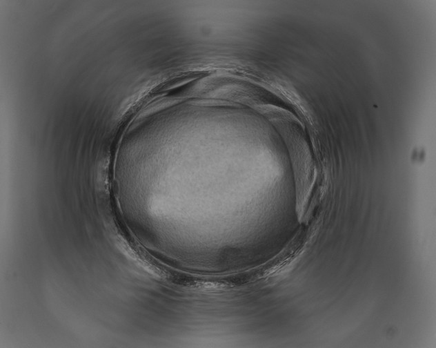 X0000088870585200707061349