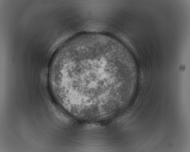 X0000088870586200707061349