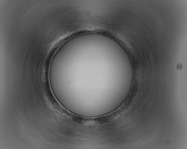 X0000088870587200707061349