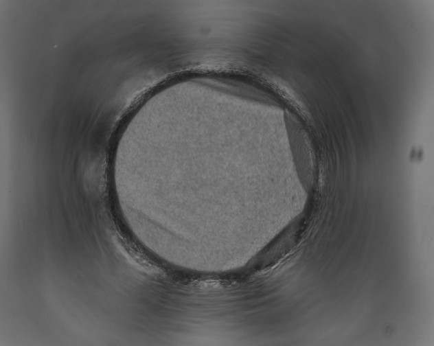 X0000088870588200707061349
