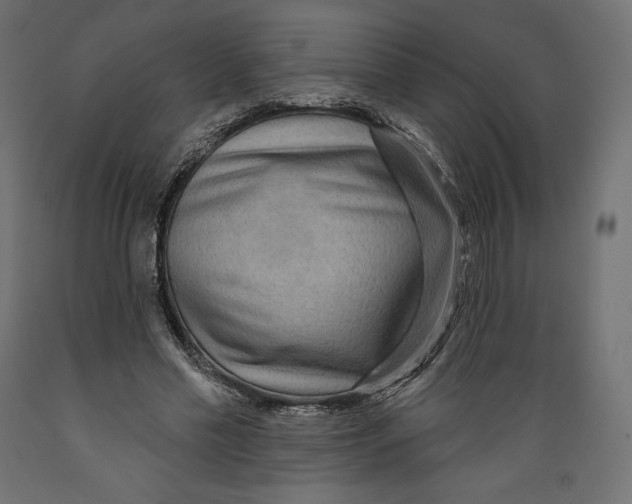 X0000088870589200707061349